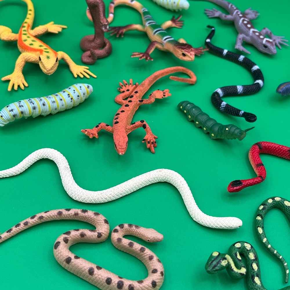 Reptile Animals Set of 15